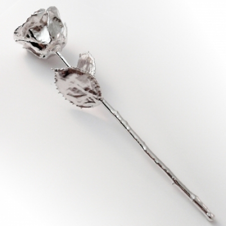 Silberrose 24 cm - Silberne Rose